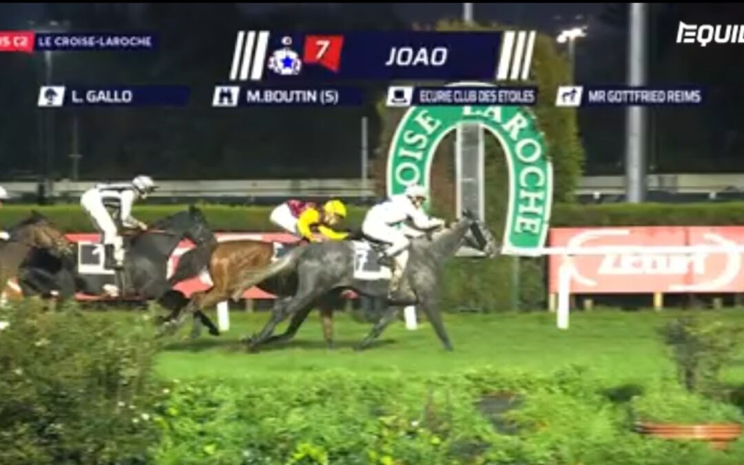 KEIN SIEG ABER GELD VERDIENT