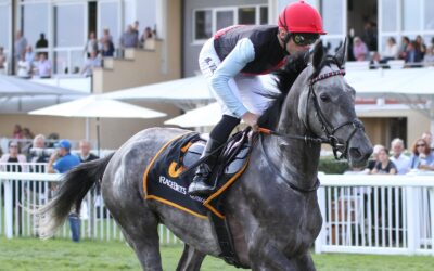 GREWE EX FÜR 40.000 GUINEAS