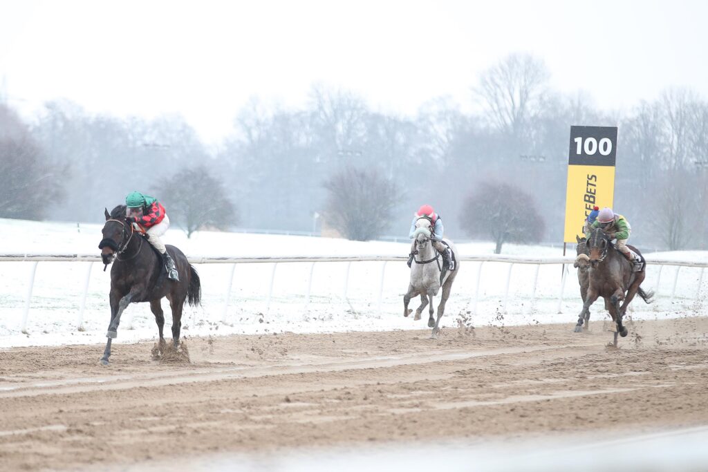 PALATINA AUF RANG DREI
