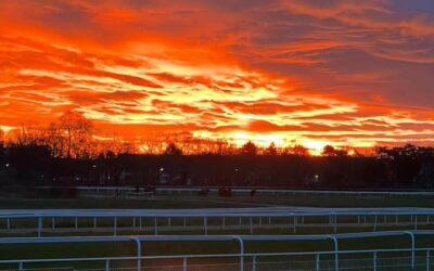 “MORNING HAS BROKEN”