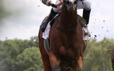 PLATZ 14 BEI WALLACH DEBUT