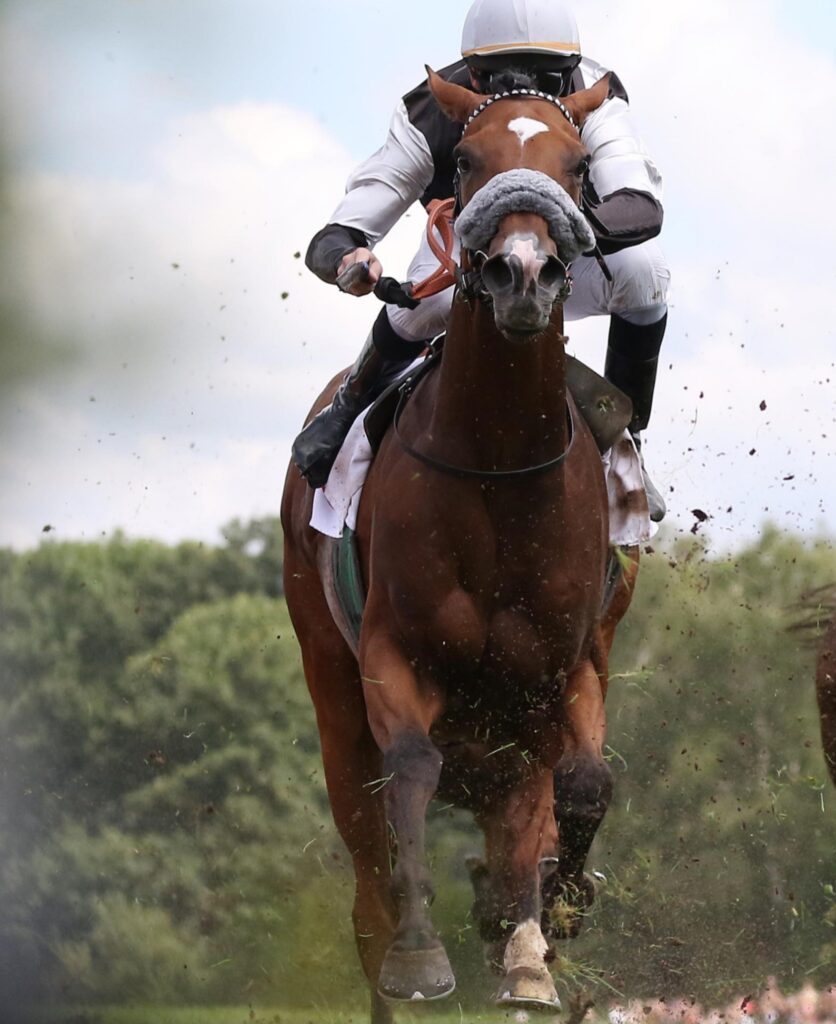 PLATZ 14 BEI WALLACH DEBUT