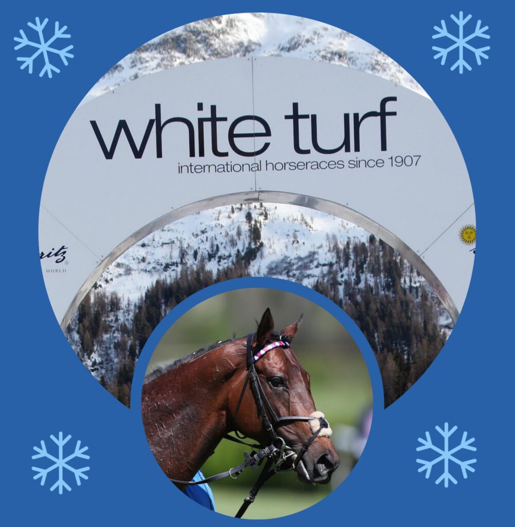 WHITE TURF DIARY (1)