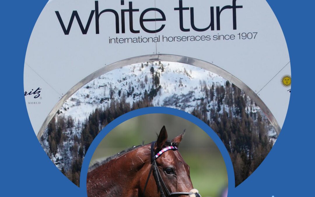 WHITE TURF DIARY (1)