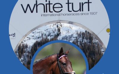 WHITE TURF DIARY (1)