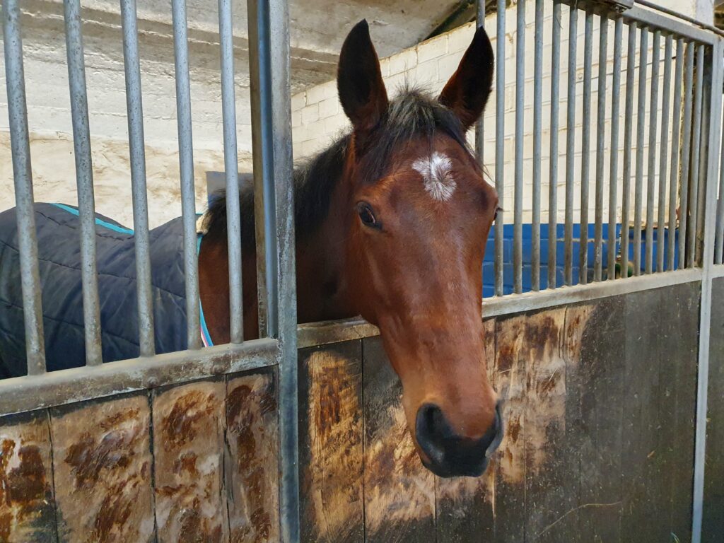 GB IMPORT IN CHANTILLY