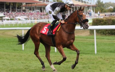 EX MIT ZWEITEM DUBAI START