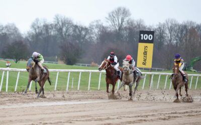 DIESMAL PLATZ ZWEI