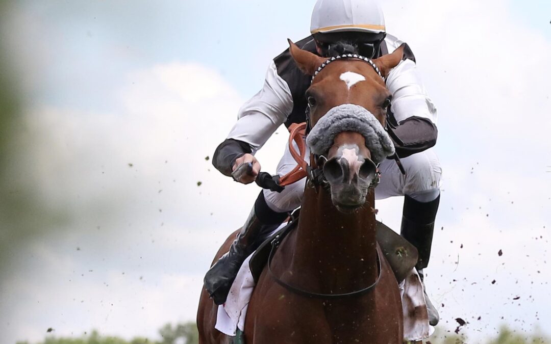 EX ERNEUT OHNE CHANCEN