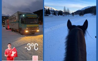 WHITE TURF DIARY (3)