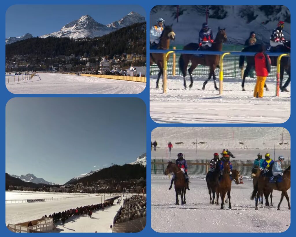 WHITE TURF DIARY (6)