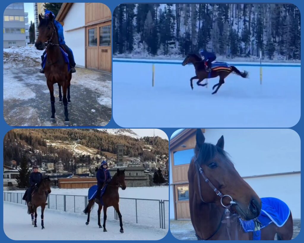 WHITE TURF DIARY (10)