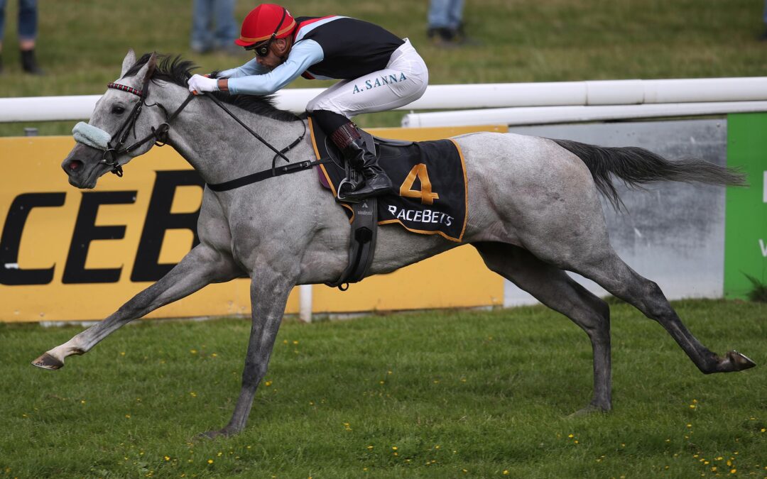 PALATINA IN ST. CLOUD