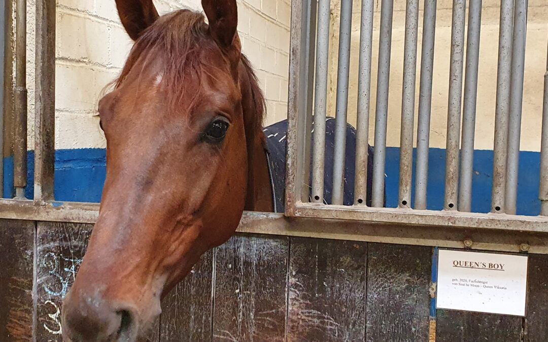 WEITER GEHT’S IN RIEM