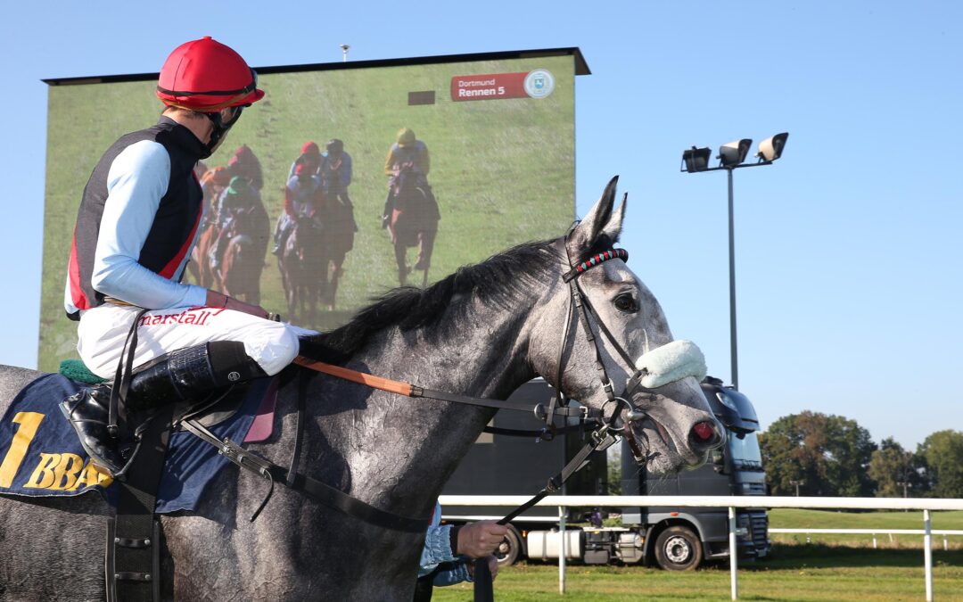 GREWE EX MIT USA START