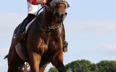 CHANCE IN CHANTILLY