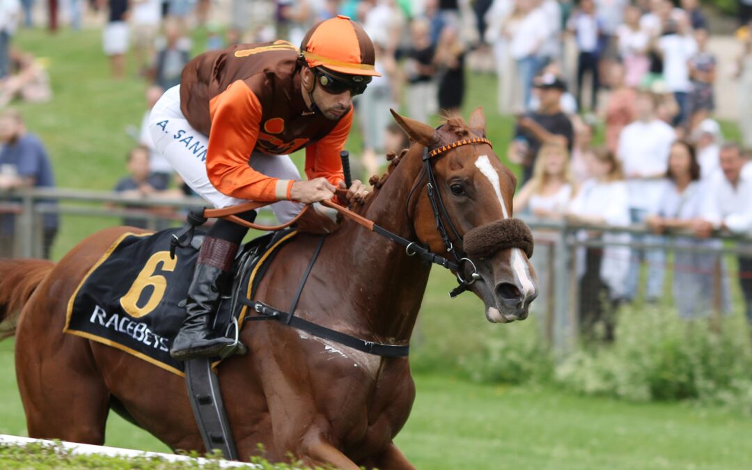 HANDICAPPER UND MAIDEN