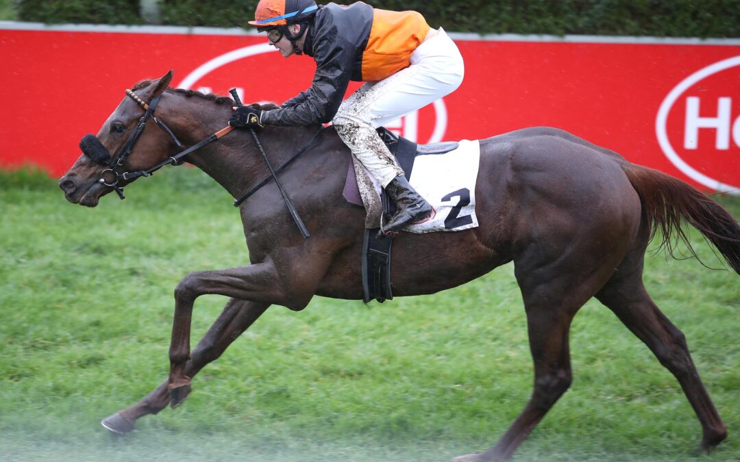 SAINT CLOUD UNGEFÄHRDET