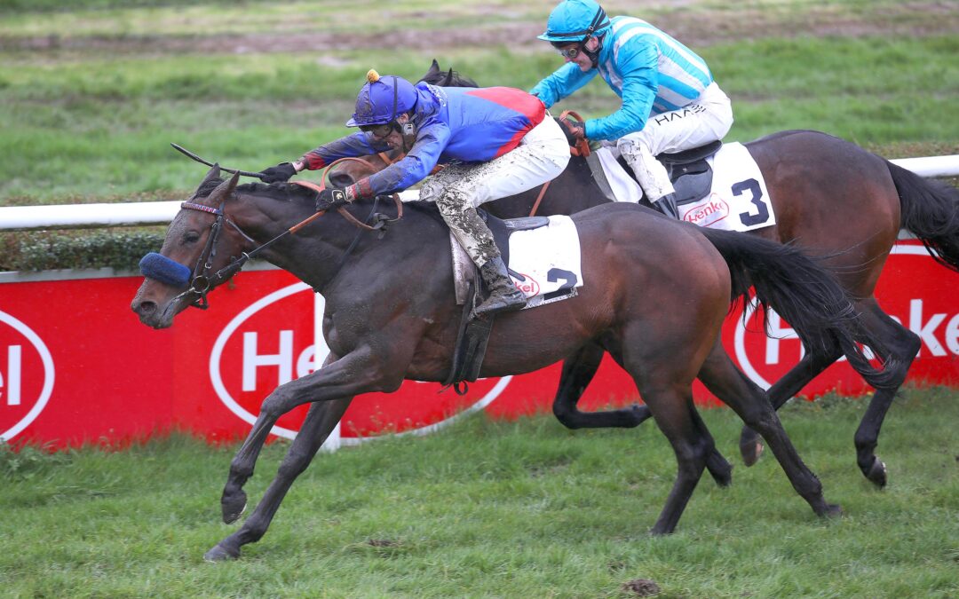 ASSISTENT GLEICH TOP