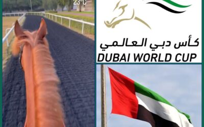DUBAI REPORT (20)