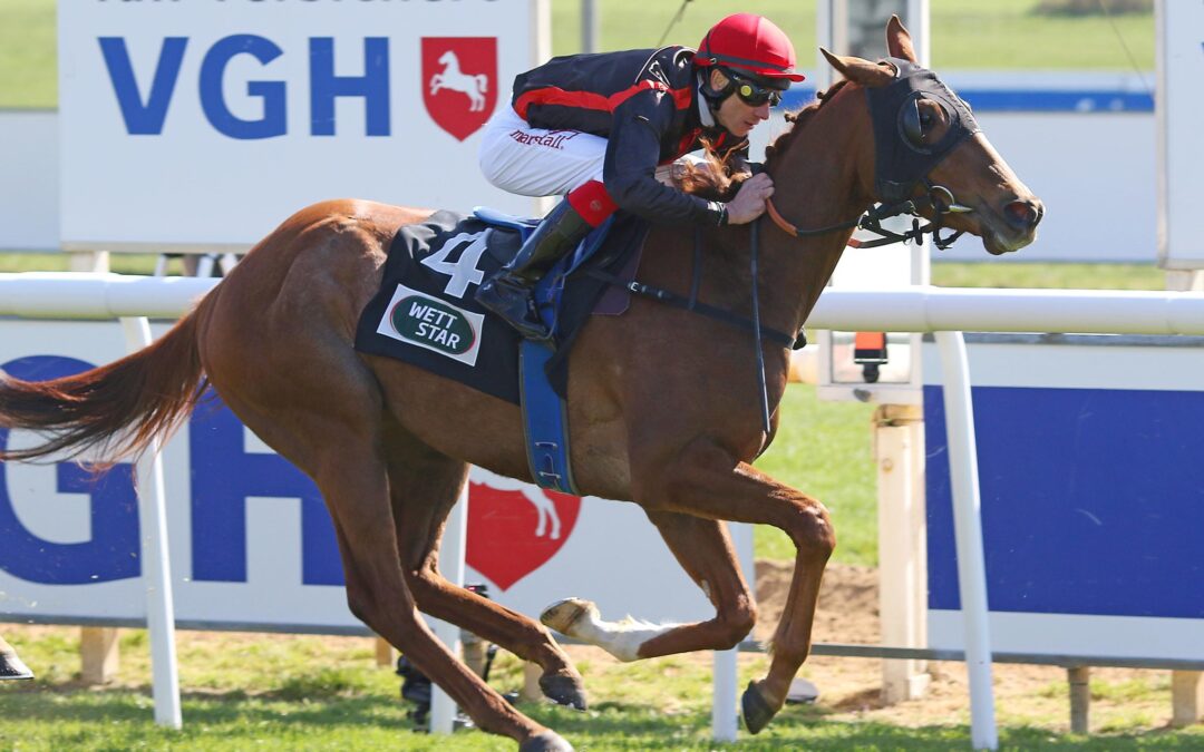 BLACK TYPE AUFGALOPP