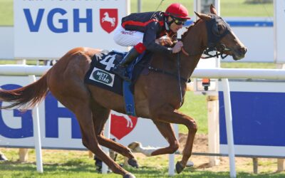 BLACK TYPE AUFGALOPP