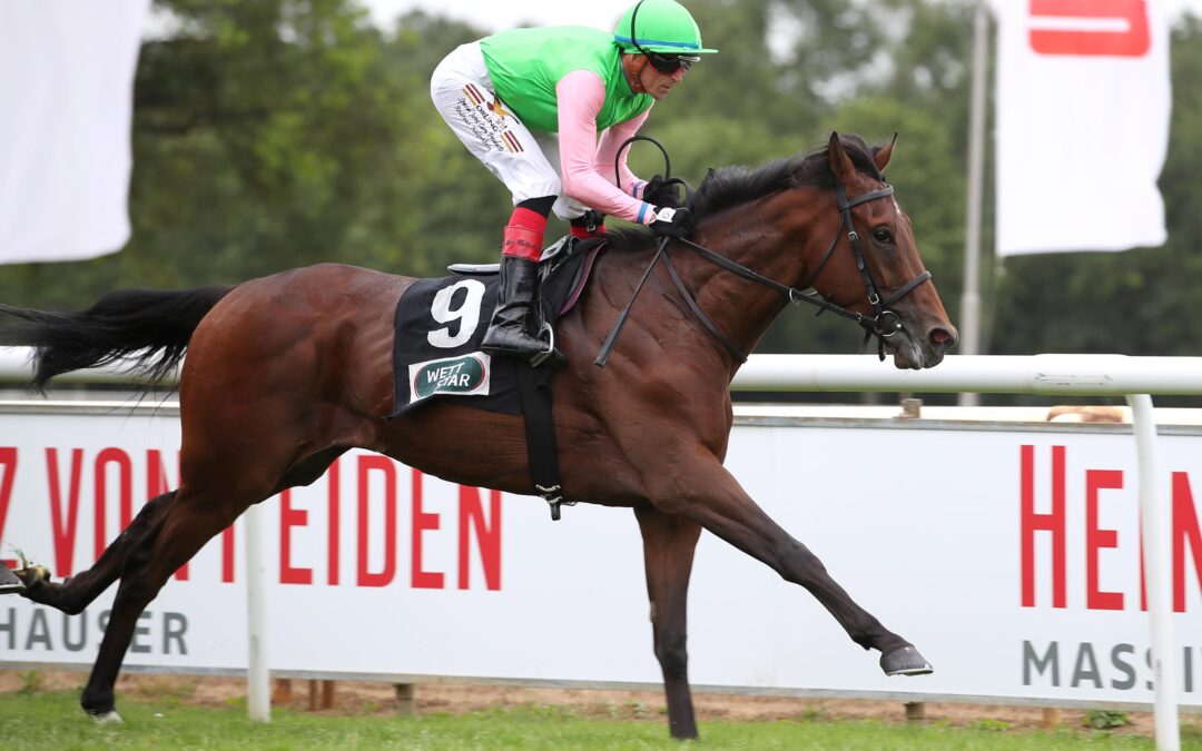 ZANDJAN SAISON DEBUT