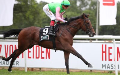 ZANDJAN SAISON DEBUT