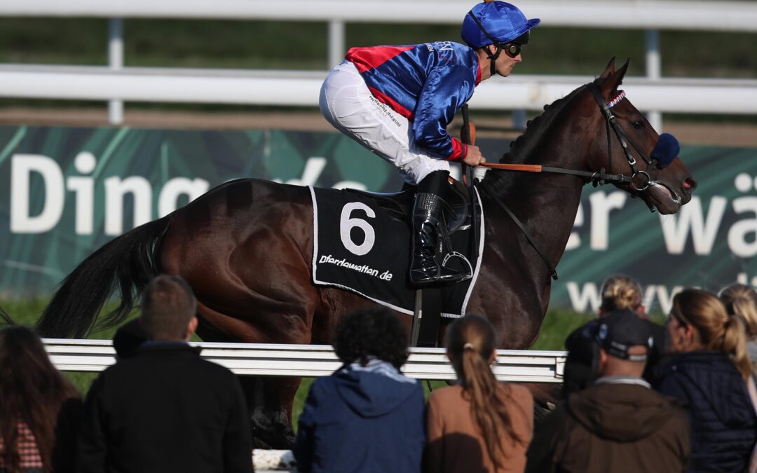 ASSISTENT UND “AZUBI”