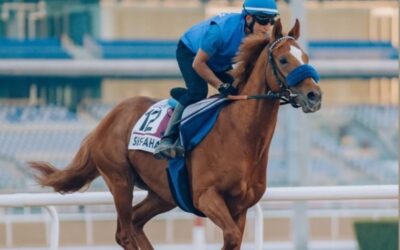 DUBAI REPORT (10)
