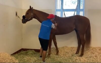 DUBAI REPORT (12)