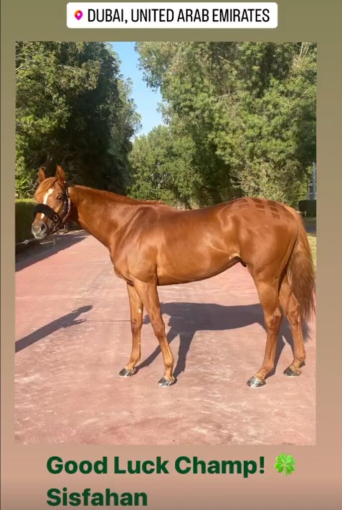DUBAI REPORT (15)