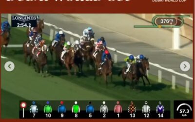 DUBAI REPORT (16)
