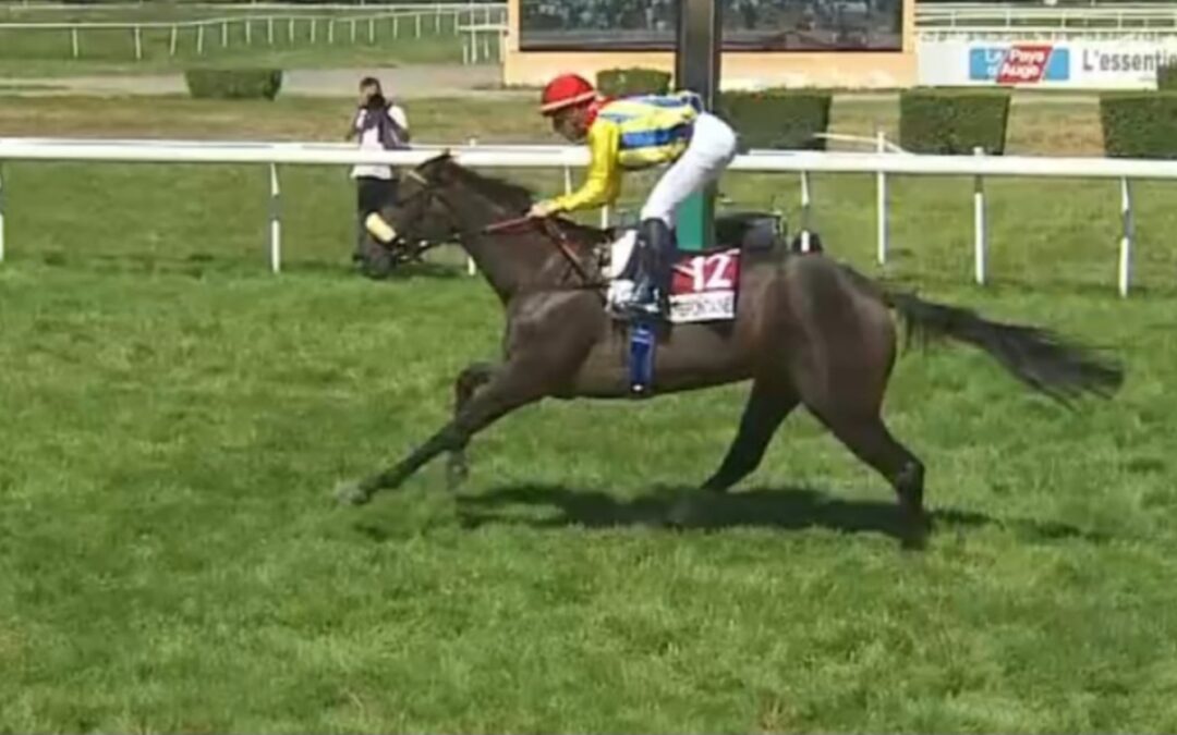 ZWEITEN SIEG IM BLICK