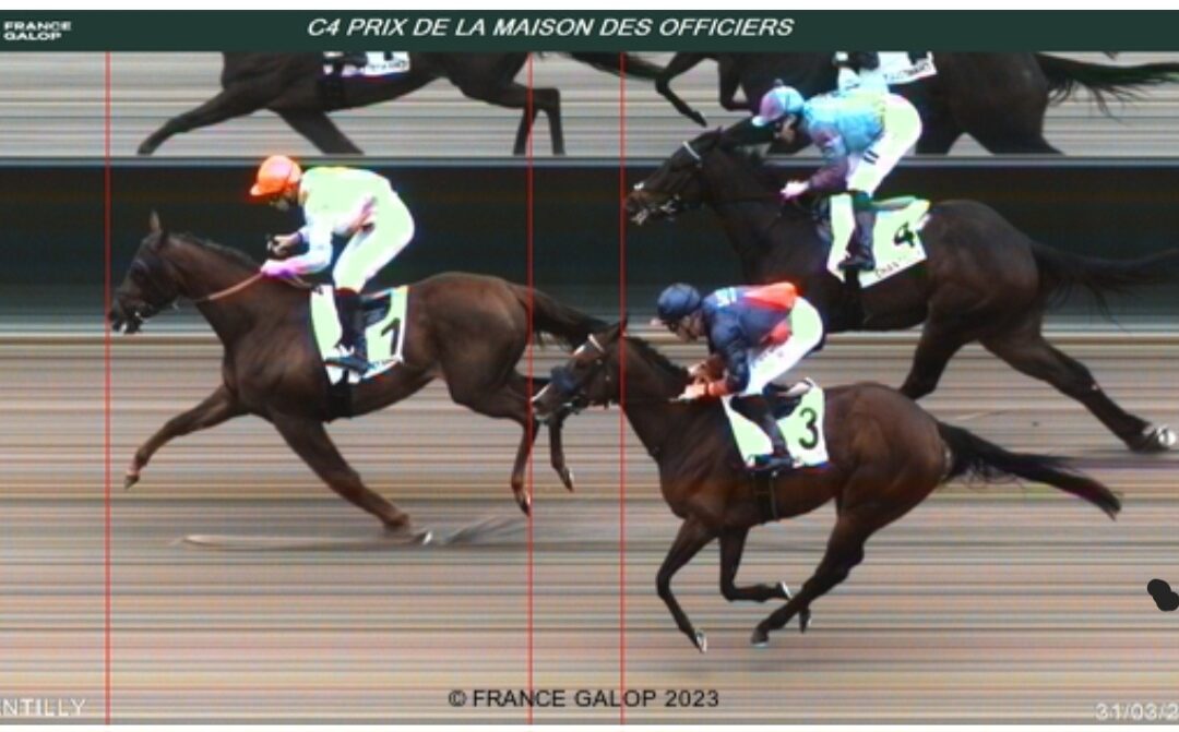 MURMELTIER LÄßT GRÜßEN