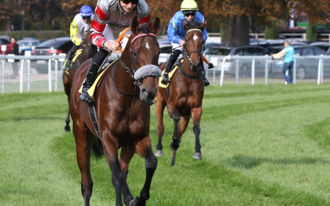 NACH PAUSE NOCH NICHT SOWEIT