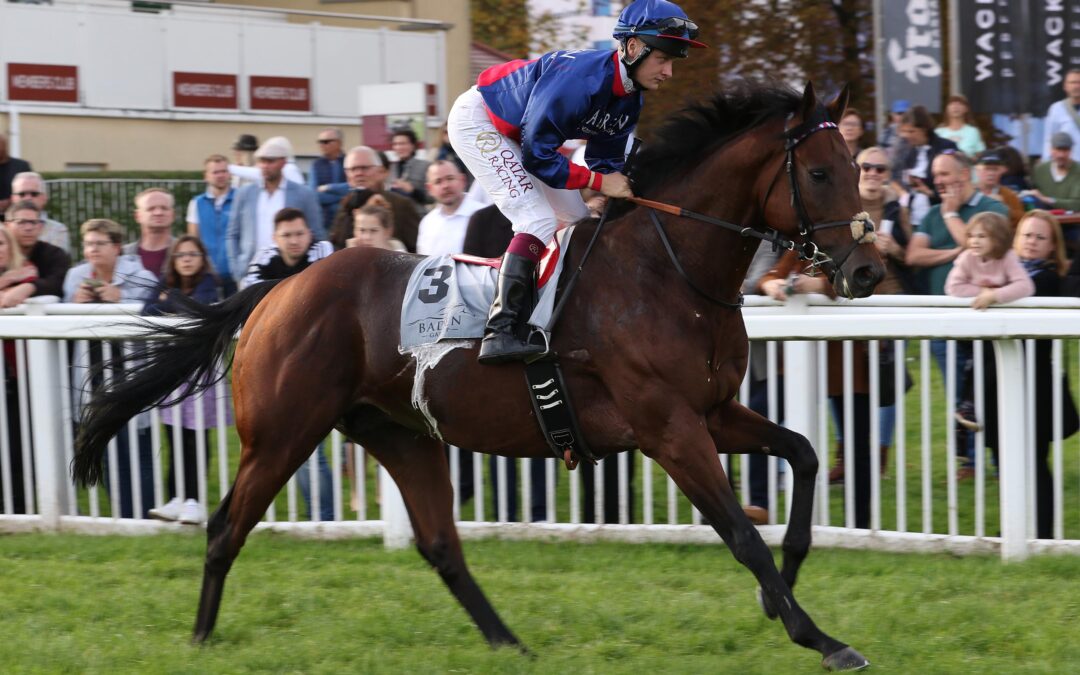 SCHNEEFORM KORRIGIERT