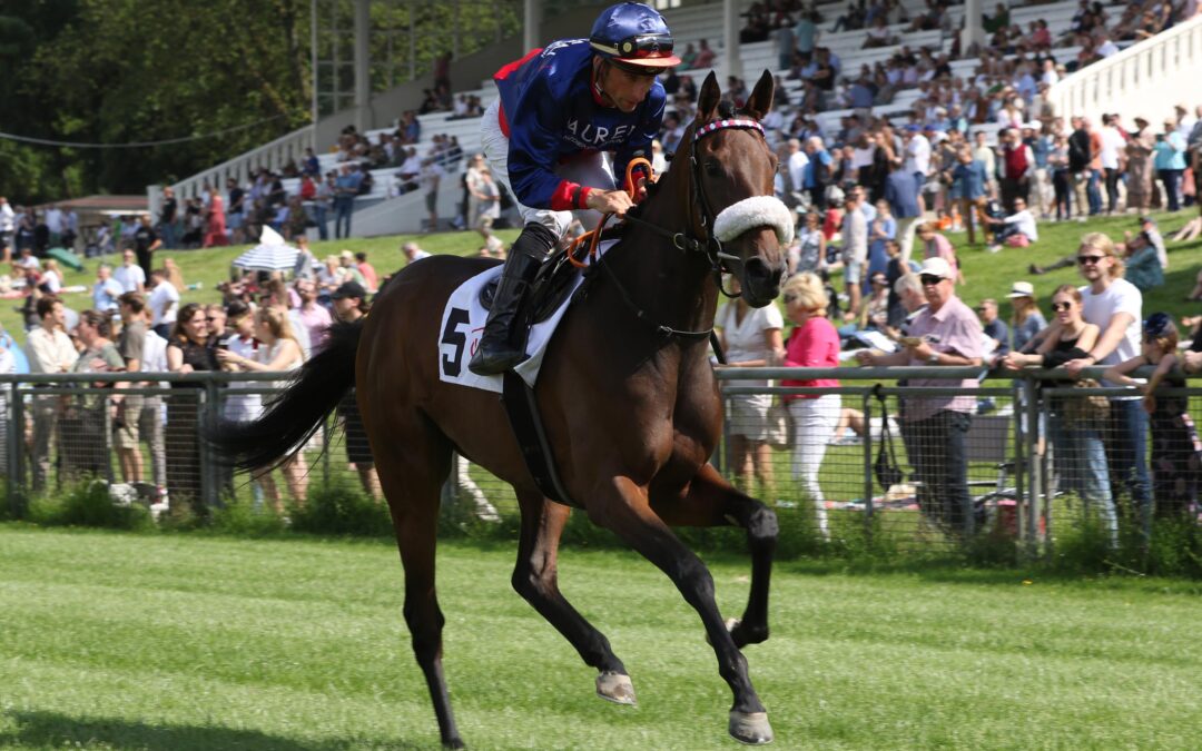 LACUNA WIRD MUTTERSTUTE