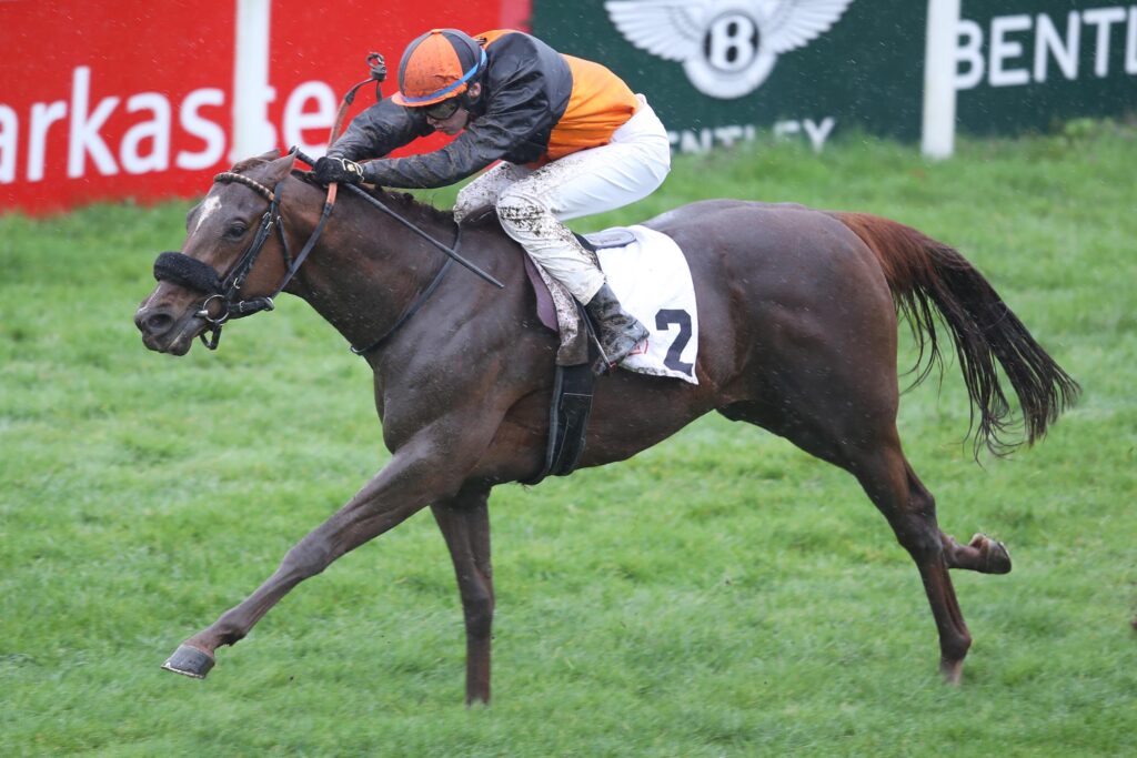 SAINT CLOUD GEGEN ACHT