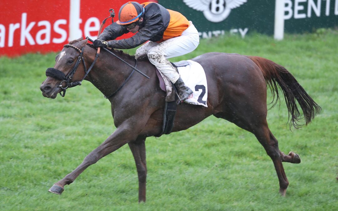 SAINT CLOUD GEGEN ACHT