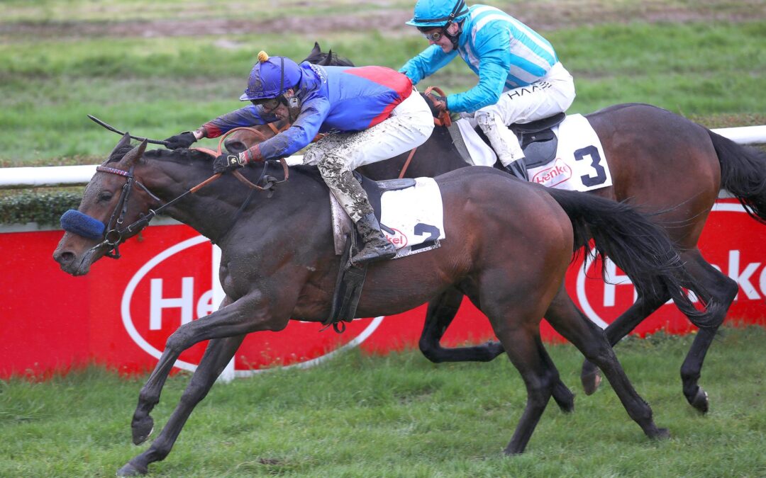 NÄCHSTE STUFE ZÜNDEN