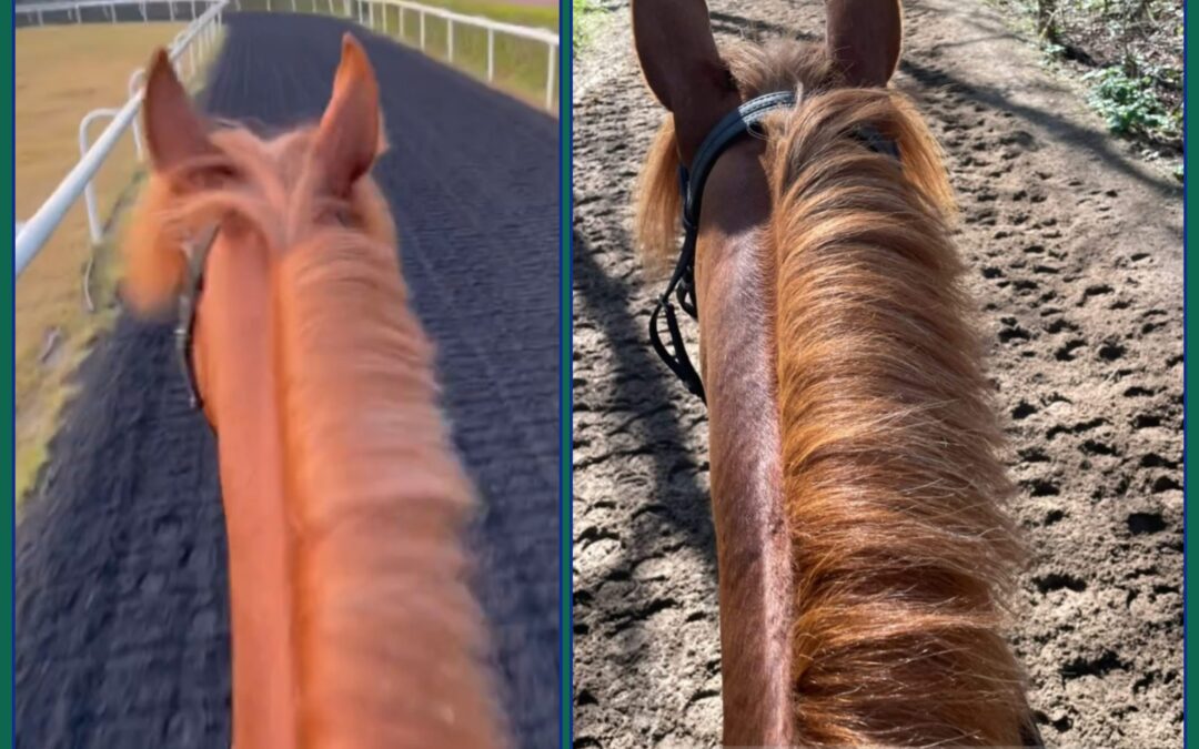 ZURÜCK IN DER REALITÄT