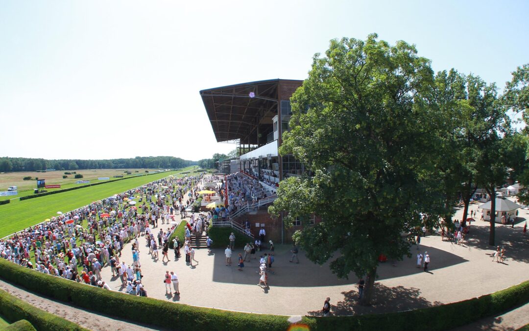 ERSTEN DREI VON SECHS