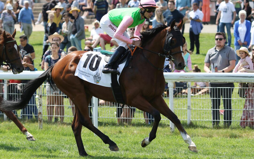 ZANDJAN UND CO. IN KÖLN