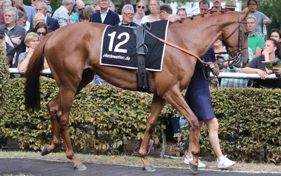 ALS FÜNFTE GUT VERKAUFT