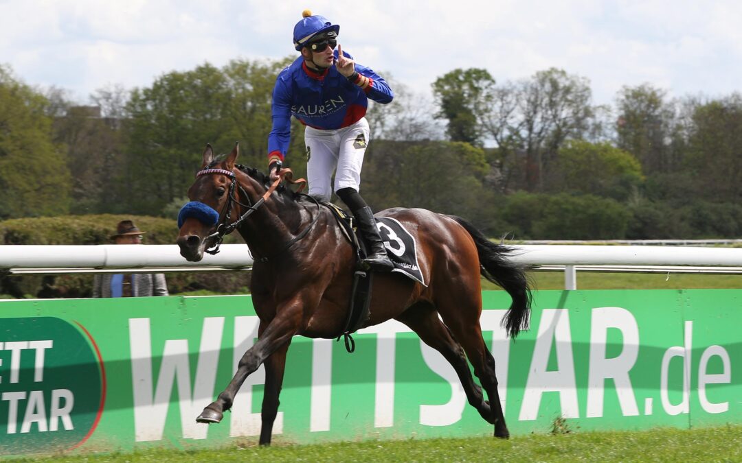 ASSISTENT MIT FEUERWERK