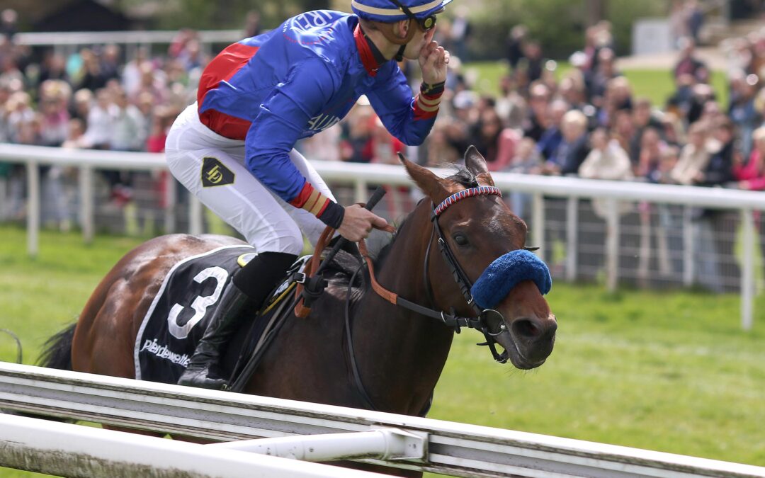 ASSISTENT BEFÖRDERT