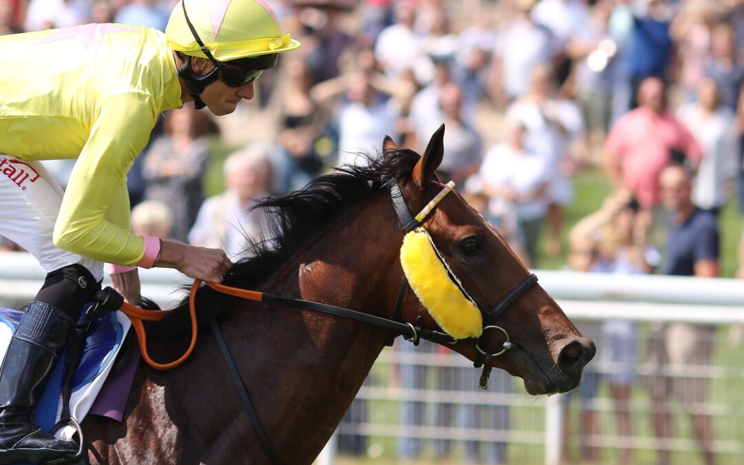 DEM BRUDER NACHEIFERN