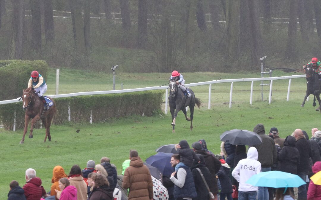WIE BEIM DEBUT ZWEITER