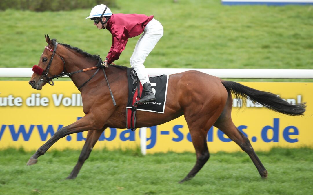 MR. HOLLYWOOD AUF UND DAVON